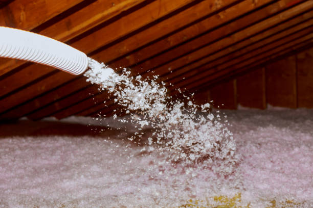 Best Local Insulation Services  in Old Greenwich, CT