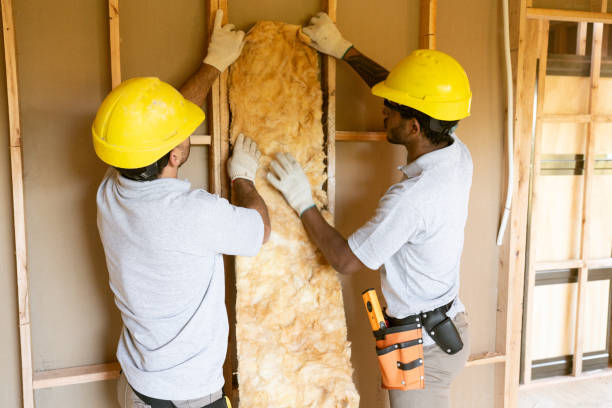 Best Insulation Replacement Services  in Old Greenwich, CT